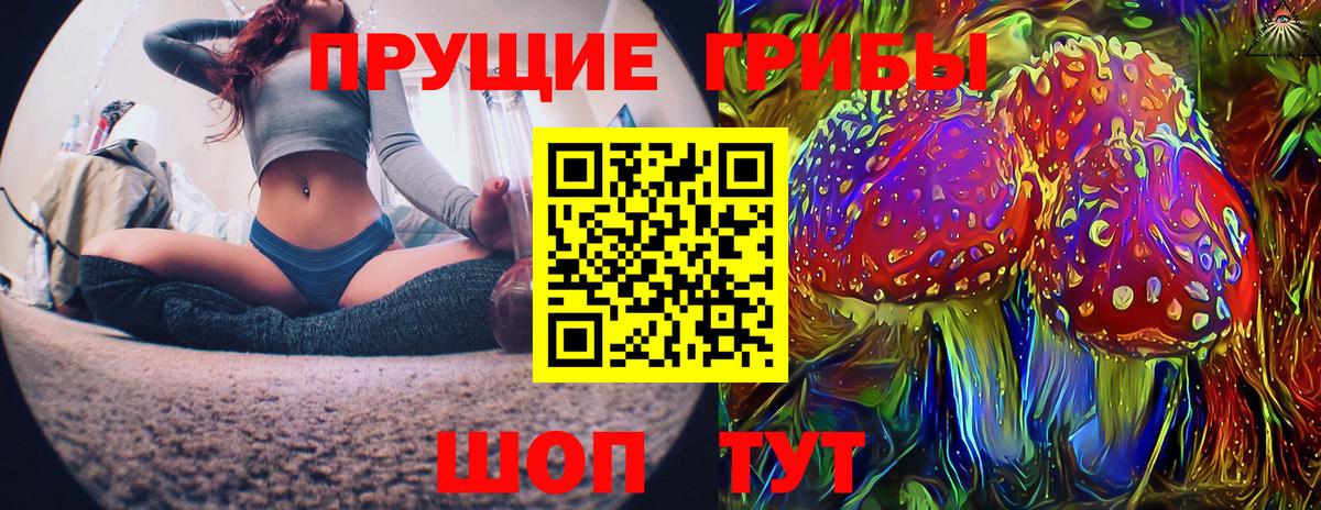 как найти   Псилоцибиновые грибы Psilocybe  Вход с VPN  Гудермес 